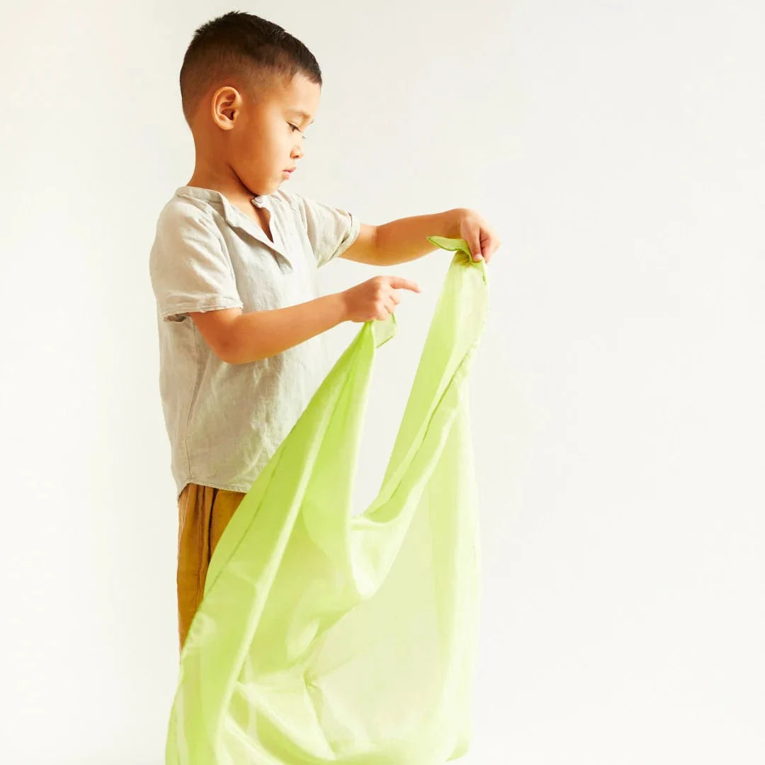 Sarah’s Silks Parrot Playsilk