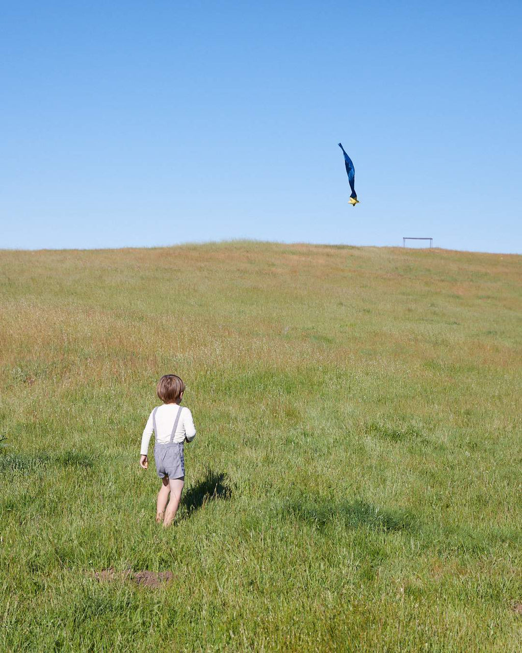 Sarah's Silks Skytails (Shooting Star)