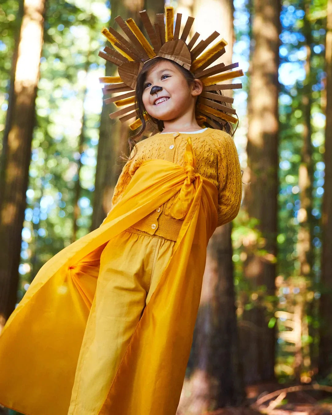 Sarah's Silks Lion Playsilk
