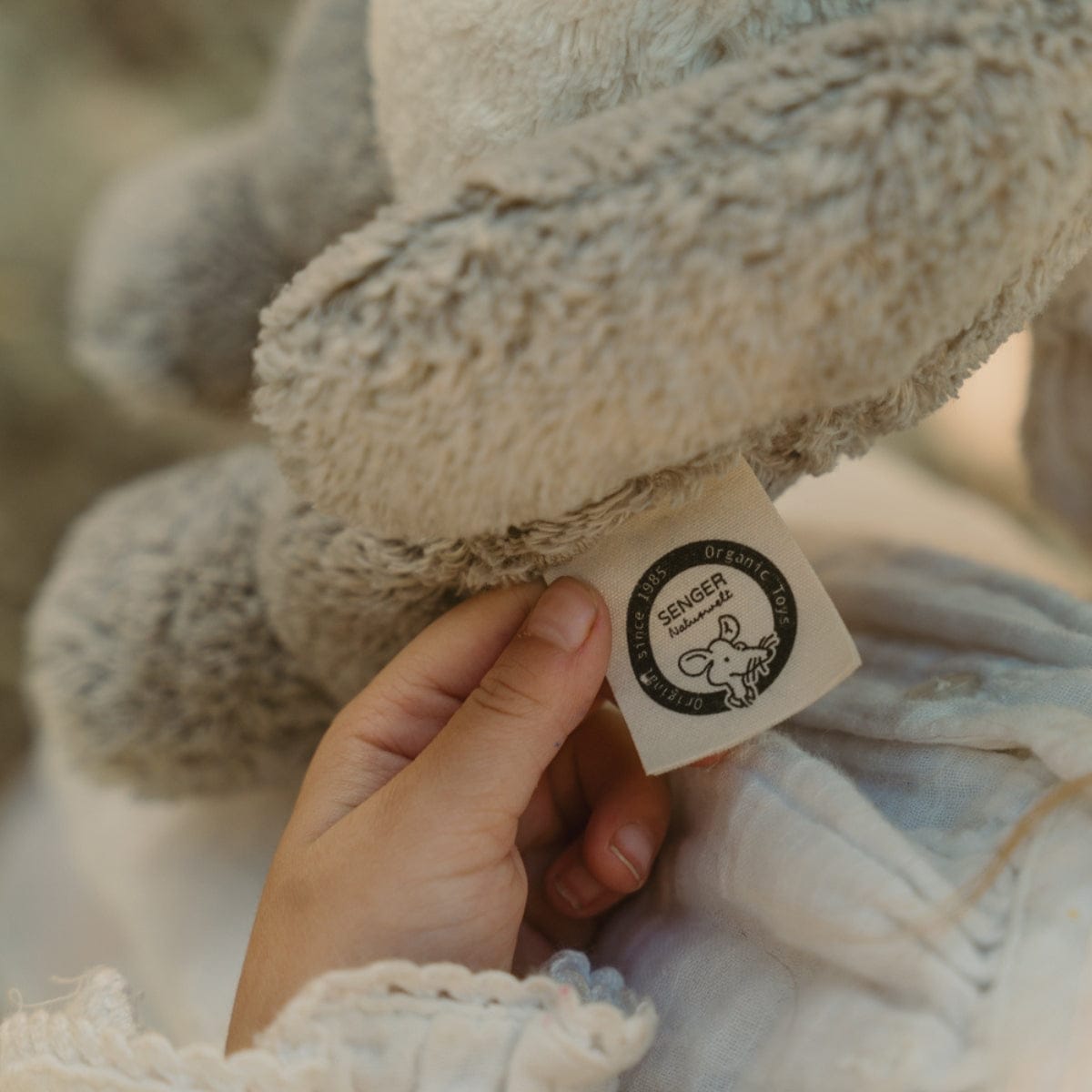 SENGER Cuddly Animal - Koala - Australian Exclusive - Removable Heat/Cool Pack