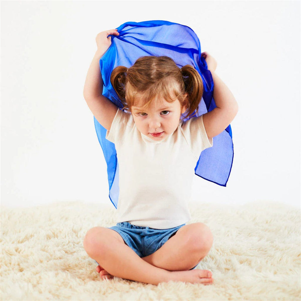 Sarah’s Silks Mini Blueberry Playsilk
